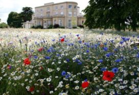Penny Brohn UK. Wellness package