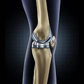 Knee - evidence case studies