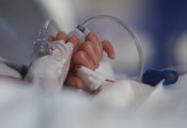 PReCePT helps premature babies